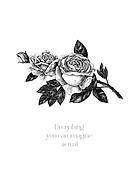 2018-11-08/7886325551dfd34337dd254b9cc862ac_68a360f7f67f85d911ddb60e216ecefd