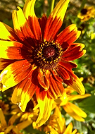 2018-11-11/9e6b0ac5f6cd163b6e922beddbbcfed1_7e8852633ed2b82034388adb197357f3