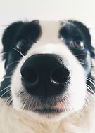 2018-11-12/072c2aba2d0e5efcfc21037d1ba62eef_4115196bc4f5d59acc4d3d462c2b46f0