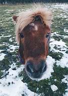 2018-11-12/244e25d62bfd0a1e0e31d4a7e4e51b53_30a18be40d189f020b80df81bfe2aacc