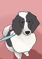 2018-11-12/d2a1200b83a3ee63753f5cd7eea2e085_4e5b0b6581338d18a96c1d69bdba1c61