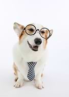 2018-11-13/bd79dfcb56f5198c4f770b4b79226349_a4ea68783177fa4c975d7e4e32a27a57