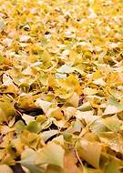 2018-11-14/2b4516f9671cba856991f29167d453c0_3bdd6dc3de1b5cf1498359b6359a7d7d