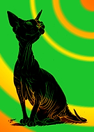 2018-11-14/919af402c317f2015a1e3816d8900fed_7d255cd41c2ba277389dd84d8b0189ad