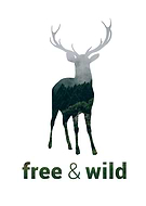 2018-11-15/f3699c29b9597eb415b6bac0437ffa21_6f2110680be83894b419701019e74d0f