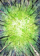 2018-11-16/383ab524b7759803e7fa7a0632e47d15_a632d5204923c694141306f62b6f9f54