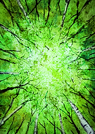 2018-11-16/674203237e3992610545905ef7bda68e_ff5b36153db89e448360384971997cad