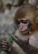 2018-11-16/6f51ef1c3ad86c8f6d8683e11dadd327_ddd0163c4eea917584cb6c506a1c7d37