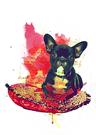 2018-11-19/34e82c456d64a147576d7c5d2281e29c_374d261763669351eda8eae809195a8a