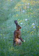 2018-11-19/c80064ecd2a3fa4ea25dcc68a34e7742_bca83e5e79225cdbe5b52ff25bc1642b