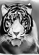 2018-11-21/5113208459647681c04c565ad234874f_4fb87e428e1dee72dd90412261fe775e