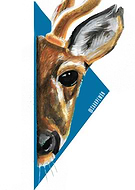 2018-11-21/58a3aaf0639fc3b0f1fad2ef0363dd2d_3f3c01d7707f7cc24db2bd52619316cf