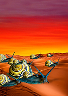 2018-11-22/b740f033f303590e9148e684c1136830_8ba07ad39b9468d8be81436d719cf5a4