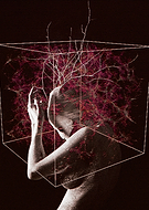 2018-11-24/f0cdab322def866359089cbdb2d68bf7_39b91604c379131de0f629e59a0d0589