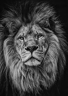 2018-11-25/e043d7ab3f1b7cdc6a3605c4a0058534_431842dc8f7375a548a4facf7a9809a0