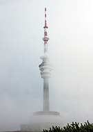 2018-11-25/e9232da0510720d43979c3216c4d74fe_70dae17e77b3f7b4d73bd1512d3ba191