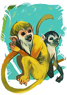 2018-11-28/1a9dd4313212e975d018fe766d88dd51_56a392491a97e1780e5a614fd50d5f7d