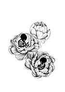 2018-11-28/84d2cba6f7f9aaeb0710092e8d05b753_c7a78eb3547ed383498081e6f986be77