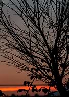 2018-11-28/e572af05a31ef10c9bb0aa09c45bec33_5bce91004ddd38187e95ad737b0474f7