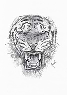 2018-11-29/8af2e209b22fe188fabdc24a75ae02a7_d7a0a3ddb2a03127436f77257ca0d57d