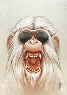 2018-11-29/ce2d6fa53f73c13c7be662eb27c83f09_11851d6936907ee53eb99d74907ecee4