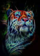 2018-12-01/e6339292b20db411234ac5a849705299_450234ba08c5f708df20edb871c5b6f5