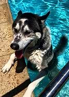 2018-12-02/8b2bf56044f1ed185af6066d9dfc22df_255d0dc0ed5f7aa7576b4c26c0a5bdb7