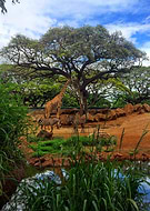 2018-12-02/c7474da2124546278d0c2fd97ec3d5e3_c796ad9984d0ace350258d8a1cdddd07