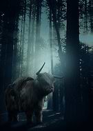 2018-12-03/13b2edbd05d25ce77160d3b5eced073f_57a12dc629d1e7eaad60436c8da73244