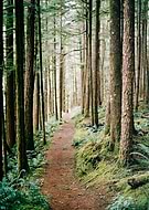 2018-12-03/5bb9dedf1fef104e88a60d6e8582988b_b73e16dcc6f9f9c7ee86f54d8218d6a1