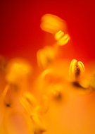 2018-12-03/6291fc3dffe2317c3cfc5f230b5b9aba_e82cffde6623907b17482f6352786aa6