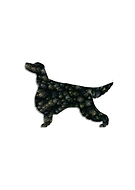 2018-12-03/e19625a07b5e1c4bde60ff084db5afb2_3227759ee9654b54645519ef6ad1f174