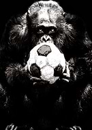 2018-12-04/281c7e0202af66f2de2bb25c76e8022c_d417a4e33167820830f0492af2dcc4f4