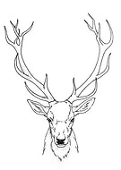 2018-12-04/5e44aee1300aa69c95b630c11a349322_78ccdd4d60457128b44dd22d141ae9a5