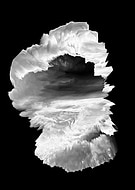 2018-12-05/b3c877cea63f925cf138f9840255fce4_7ee737bf5308c4afdcda6085da9c35d1