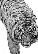 2018-12-05/ea8481c60c682de60f3048f692f71280_f2de8f7f0e5781d0054ae2c229f17b51