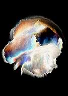 2018-12-05/fb4614d30306bc92069b63555fda9349_469a7c3435bfe0ced97d04126dc77d90