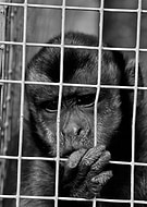 2018-12-08/26b36052f893093c9da26f5a3de178d6_f268d8d5f319e1b8ec03b6a7bb06a910