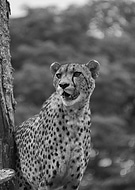 2018-12-08/b2f7b4105fd3fb78169e0aa621fef730_df5d1f4b8f27f95466089f9d61513aec