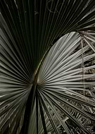 2018-12-09/a6ebc08d0f2cd98d406ad4bb830ca703_8f0acb06f7a9064aa2f6924bed5f6b15