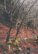 2018-12-10/5a3cc817770a9149824915c008981314_ae6ac964571221181033056762ec47e8