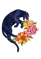 2018-12-11/869977c5a5fa0867d47527f278bffb78_fc045074fca1582d2e6256326c4b48e9