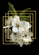 2018-12-11/cfd277e82366467f6f1d6c53a3126211_a72e3d8a1a3133ebb19ee446442895a6