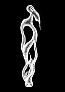 2018-12-14/0e378d0d6921ef3d2cb9265e0bf4ce77_4dad1f5a152e00040d528881600a451c