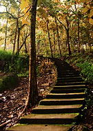 2018-12-15/399f3c84c94257e6de0fe5d2413ca658_dae62298805c9630156d7ced8300d1b6