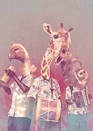 2018-12-15/5a5b961c669cc2bf1bccecf5d7f34bc1_87e4b1b43867d2964a95c3bfc181a812