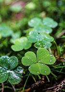 2018-12-16/5c3123271e8aa914ced7259e7c1fa4e5_fadca95c374fa9e1fd43b47427f49206