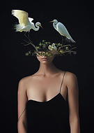 2018-12-16/baf3eaacaa1b308eb3b306184d1e9191_6238a77a88b8ce662f61aee882da444c