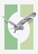 2018-12-18/543464ffd0c8089ea10c7afed1da7e21_8d49bdf6f70830d09b34412ef882b88c