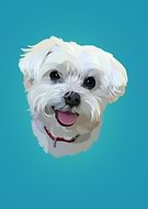 2018-12-18/c63c0f7bc6d7136c6682e3f2ca26297f_9572d5f779a1709244571e3ca2f28c03